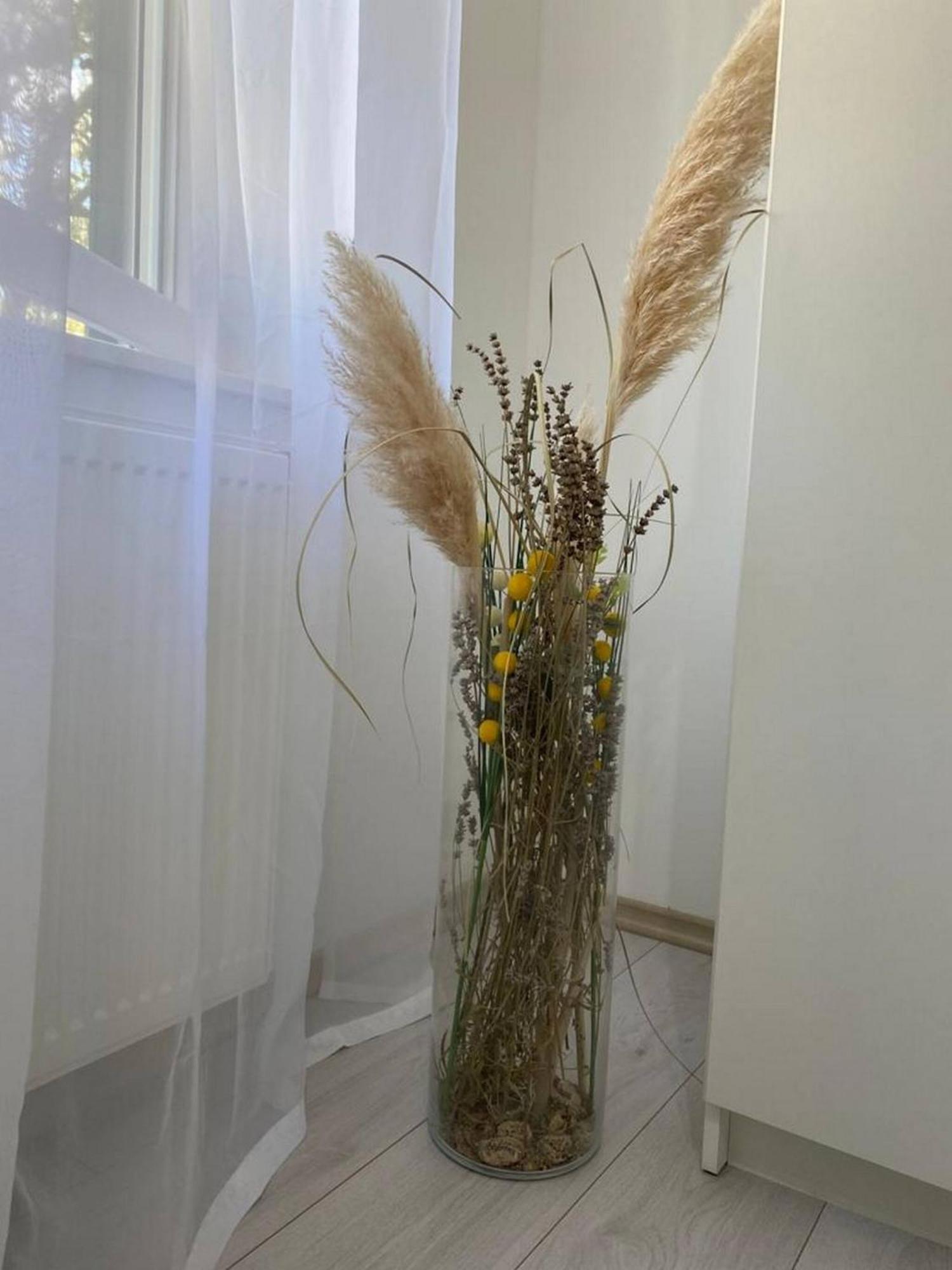 Rural Apartment Ante Drnis Bagian luar foto