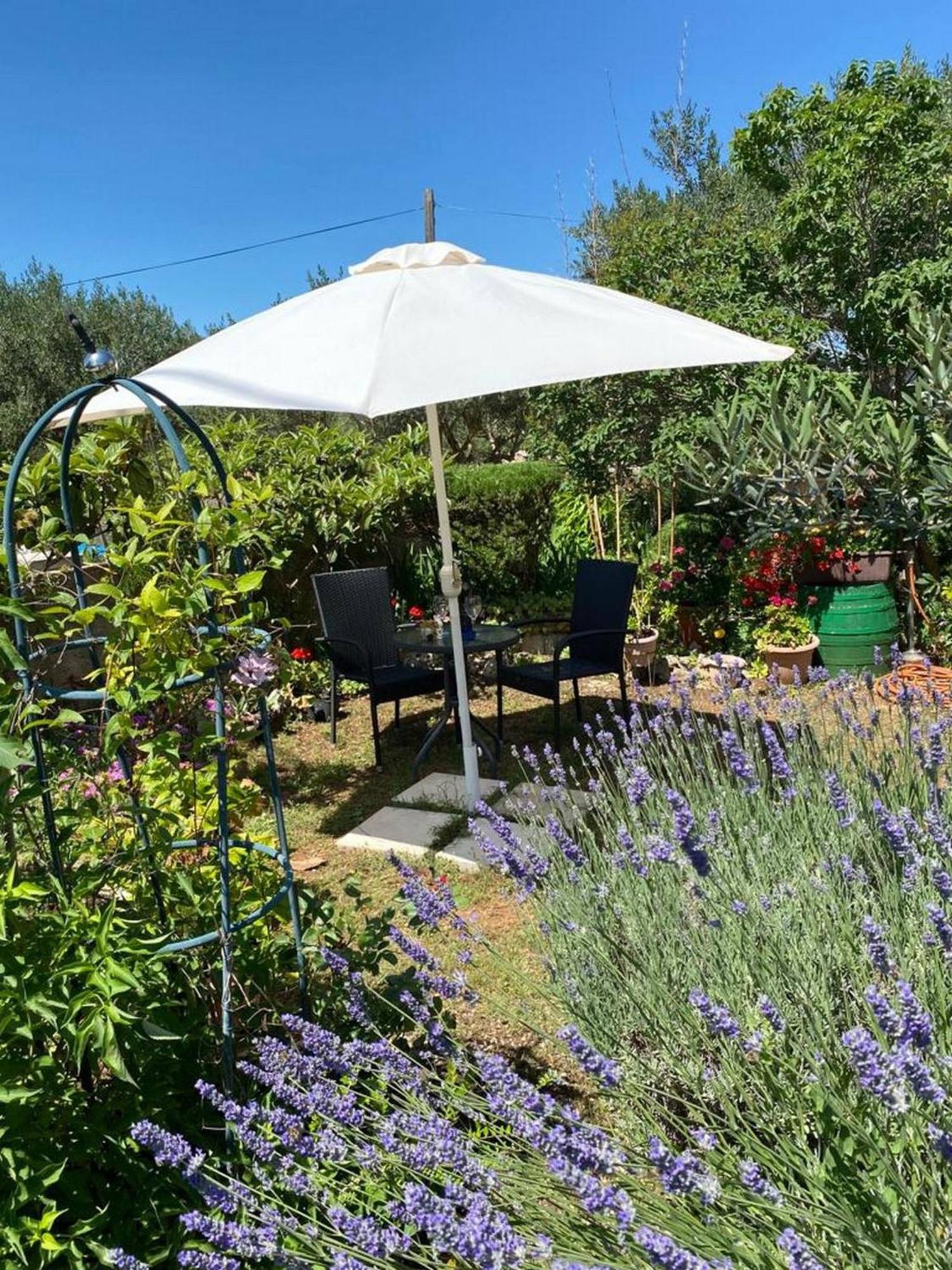 Rural Apartment Ante Drnis Bagian luar foto