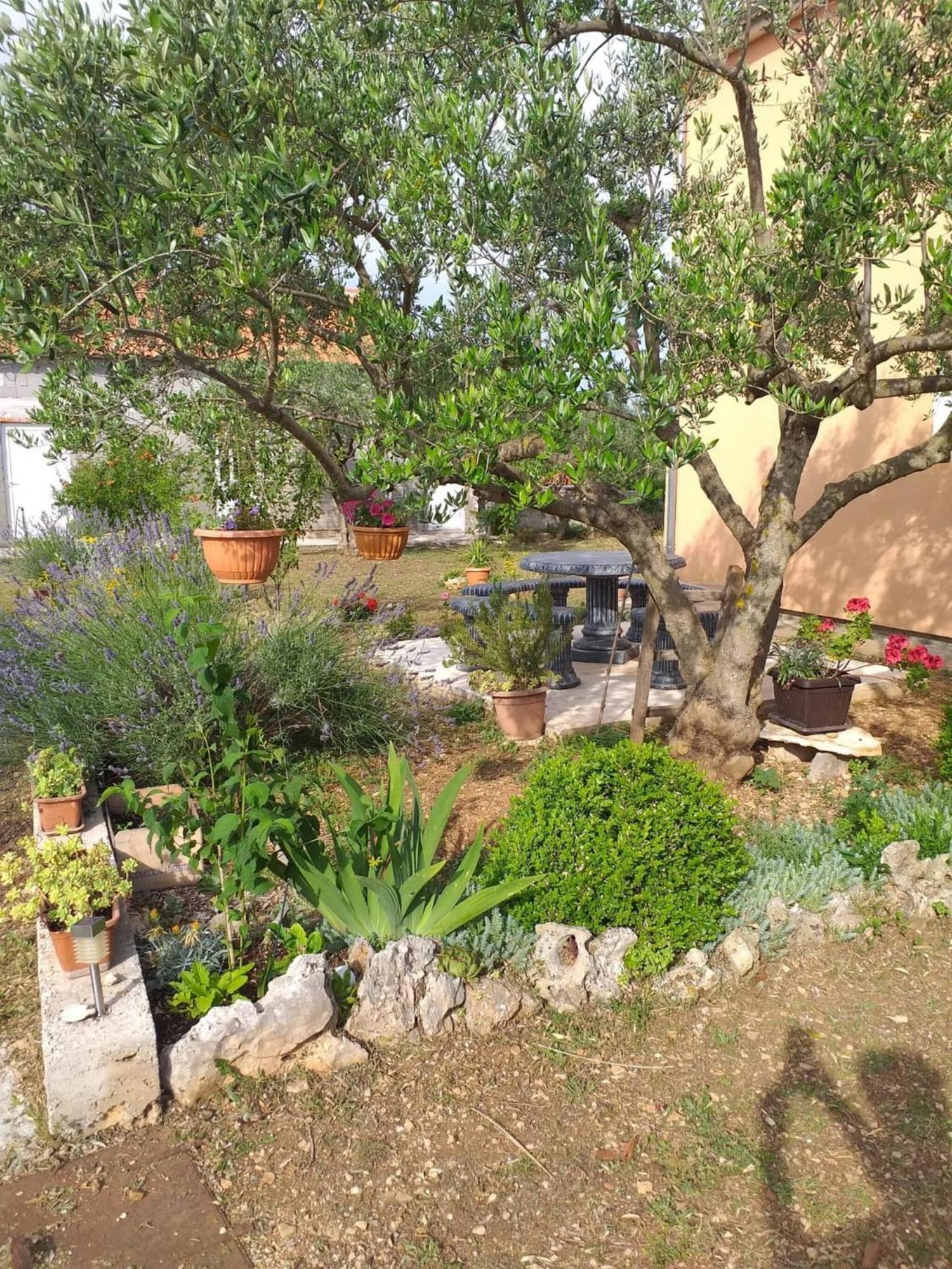 Rural Apartment Ante Drnis Bagian luar foto