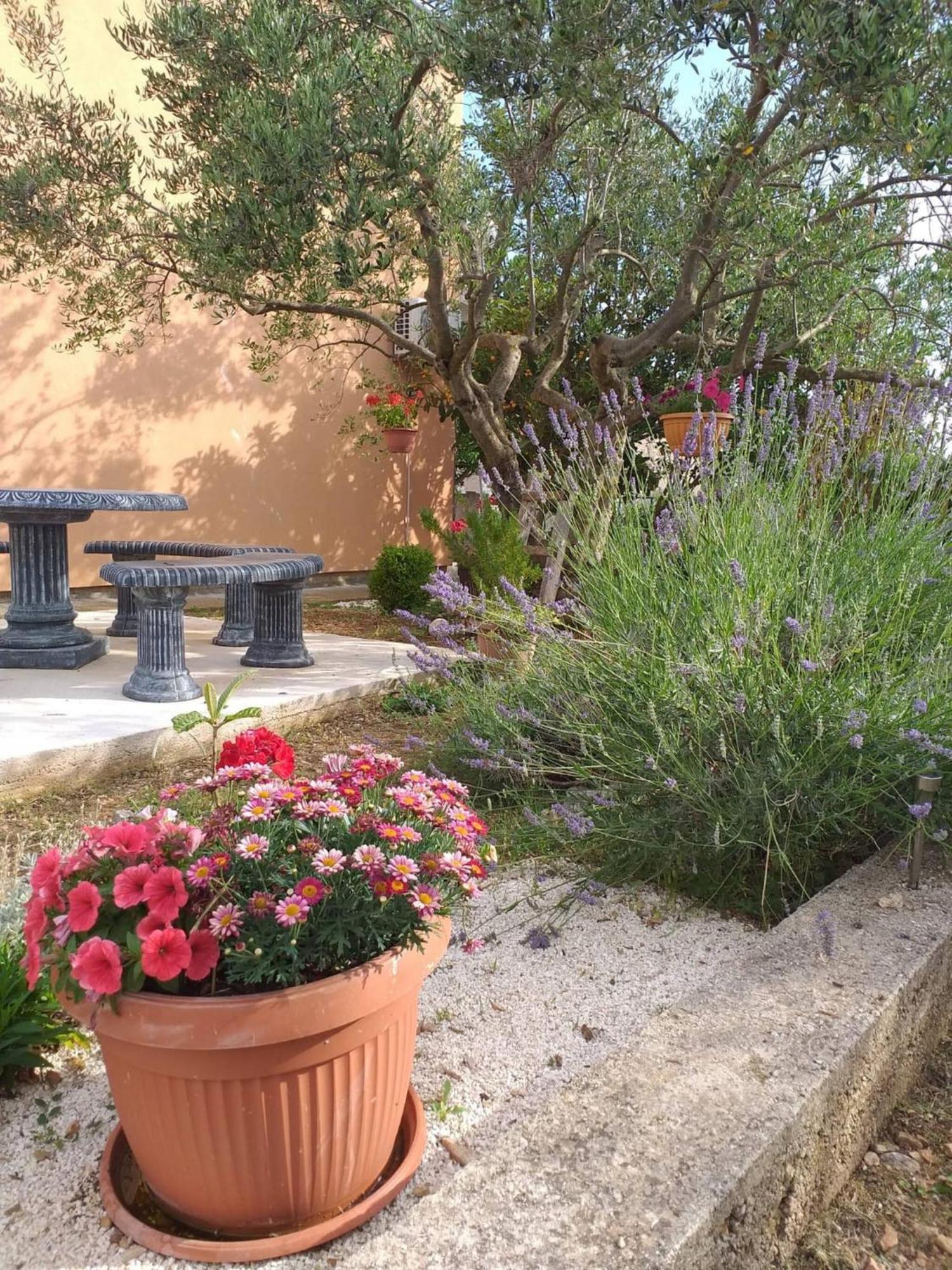 Rural Apartment Ante Drnis Bagian luar foto